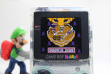 Game Boy Colour Horror - IPS Console