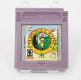 Survival Kids - Game Boy Colour (Reproduction)