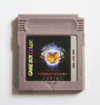 Wizardry Empire - English Translation - Game Boy Colour