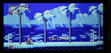 Sonic Winter Adventures - Mega Drive/Genesis Game